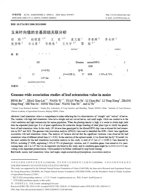 玉米叶向值的全基因组关联分析