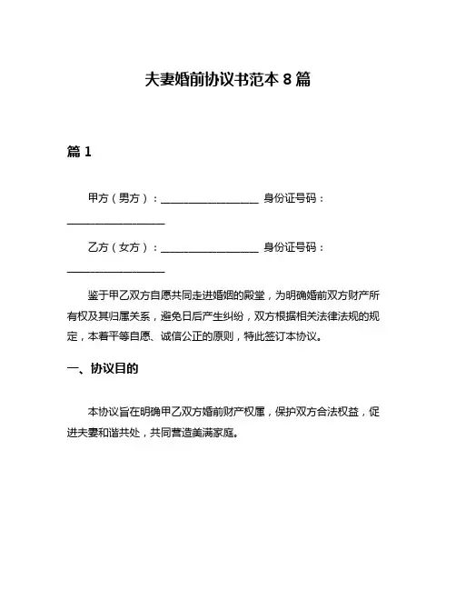 夫妻婚前协议书范本8篇
