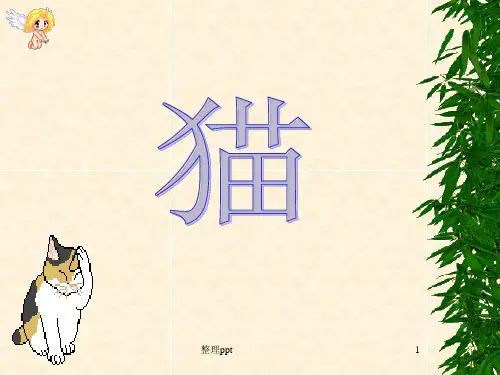 小学四年级上册语文第十五课猫PPT课件 
