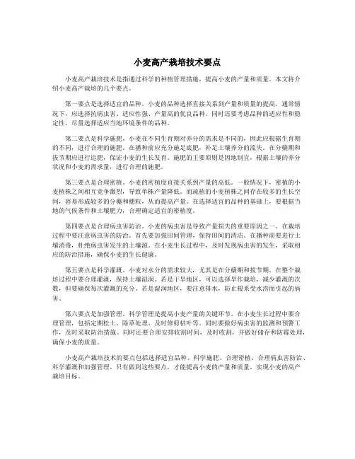 小麦高产栽培技术要点