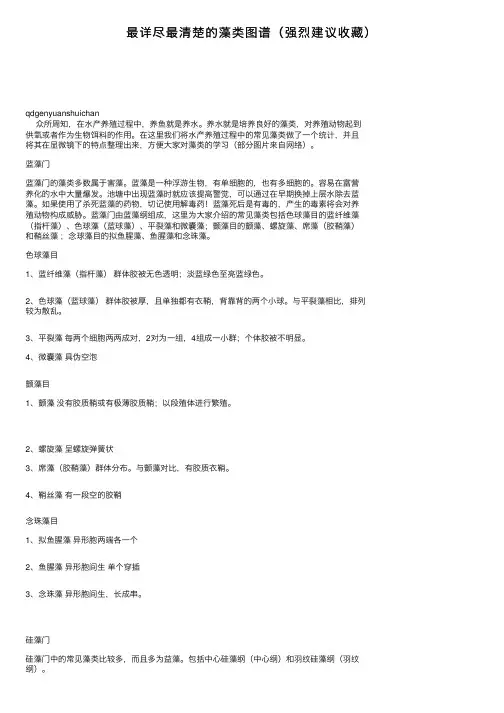 最详尽最清楚的藻类图谱（强烈建议收藏）