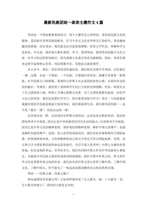 最新民族团结一家亲主题作文4篇