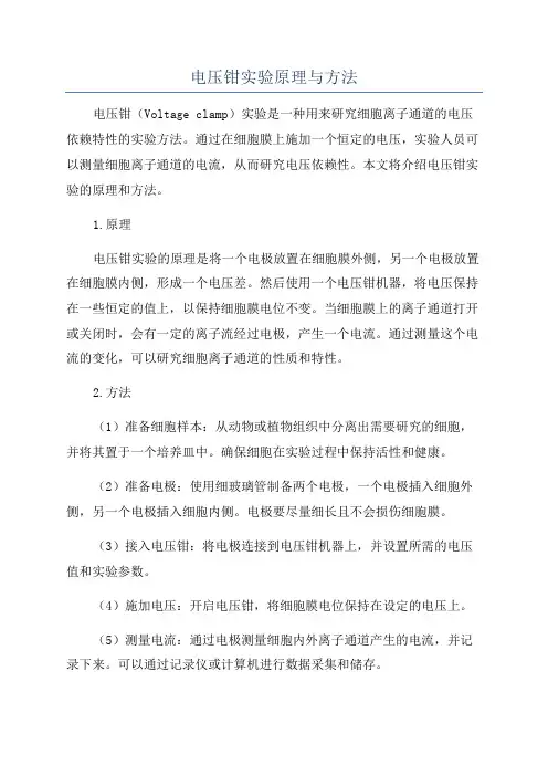 电压钳实验原理与方法