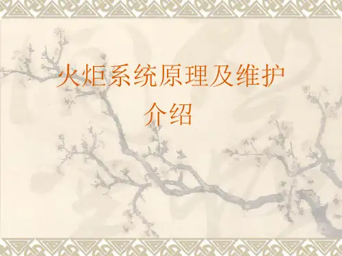 火炬系统介绍及常见故障处理