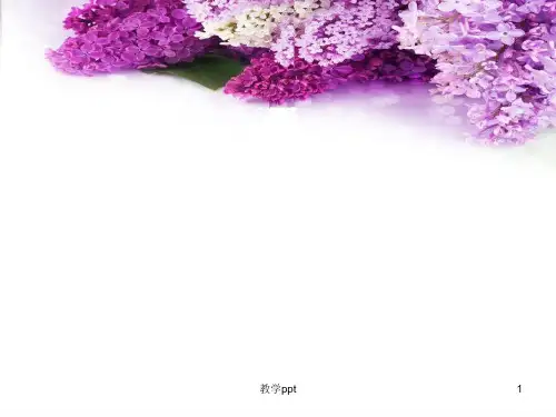人教版二年级上册5《一株紫丁香》完整