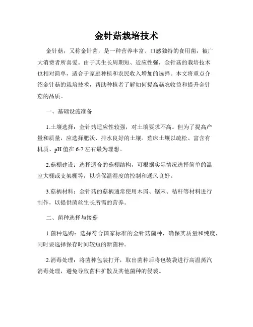 金针菇栽培技术
