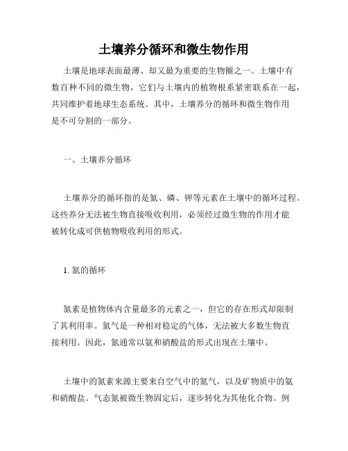 土壤养分循环和微生物作用