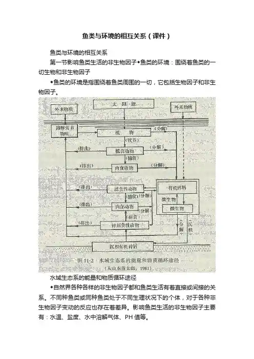 鱼类与环境的相互关系（课件）