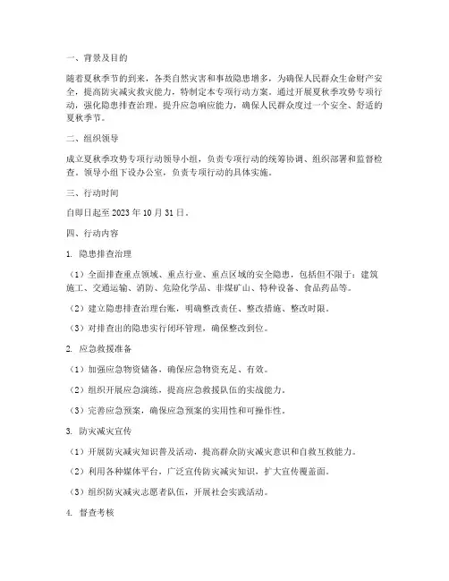 夏秋季攻势专项行动方案