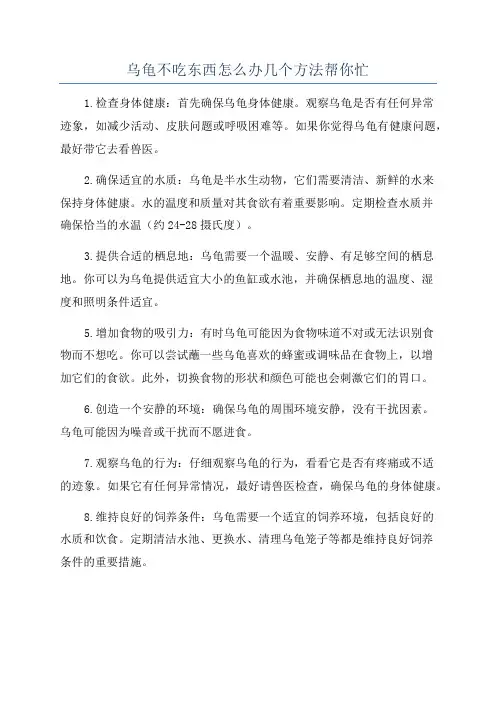 乌龟不吃东西怎么办几个方法帮你忙
