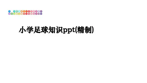 最新小学足球知识ppt(精制)课件PPT