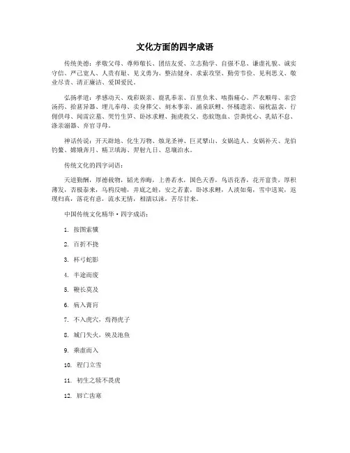 文化方面的四字成语