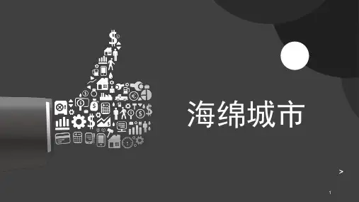 海绵城市 案例分析 (3)ppt课件