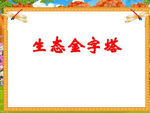 《生态金字塔》精品ppt课件