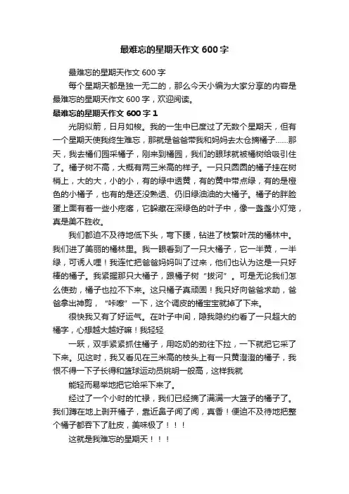 最难忘的星期天作文600字