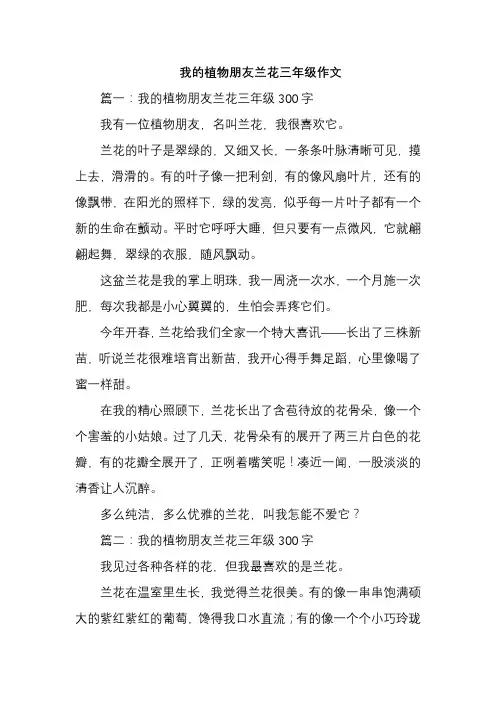 我的植物朋友兰花三年级作文