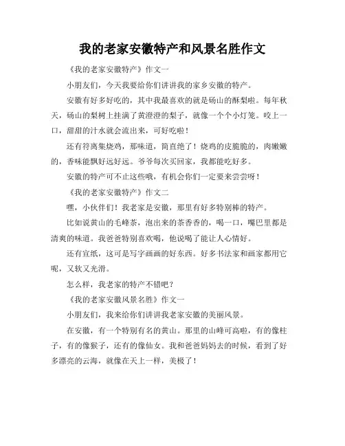 我的老家安徽特产和风景名胜作文