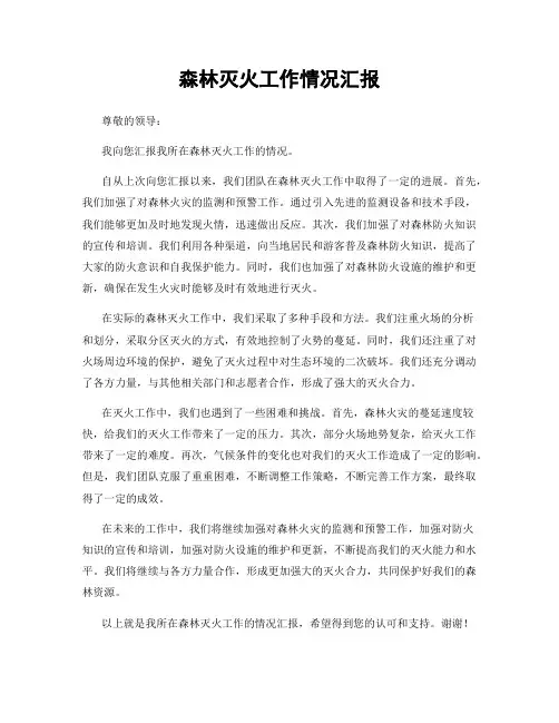 森林灭火工作情况汇报