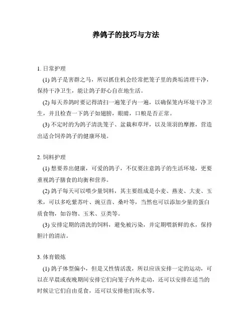 养鸽子的技巧与方法