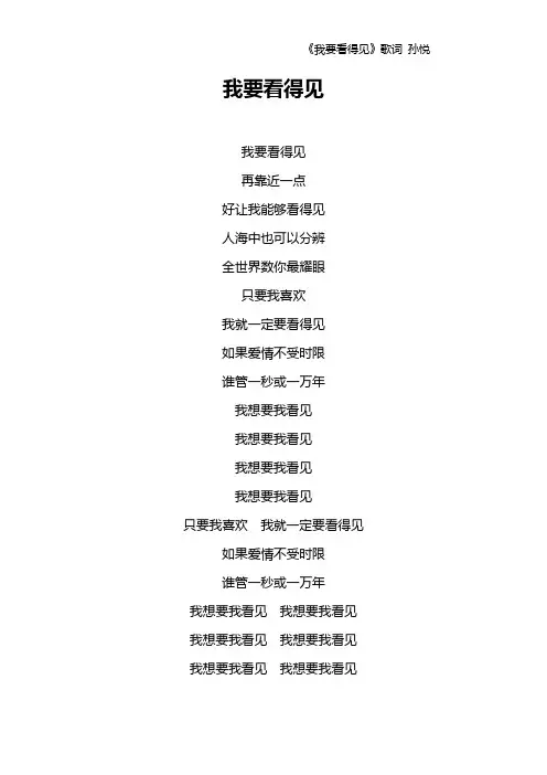 《我要看得见》歌词 孙悦