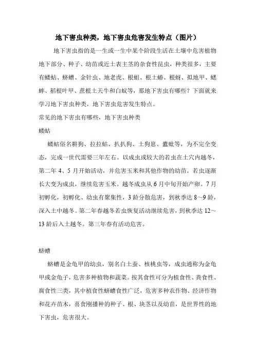 地下害虫种类,地下害虫危害发生特点(图片)