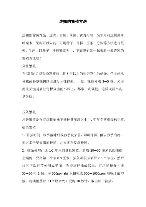 连翘的繁殖方法