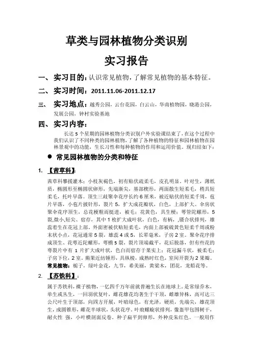 草类与园林植物分类识别实习报告