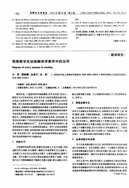 简图教学在动脉解剖学教学中的运用