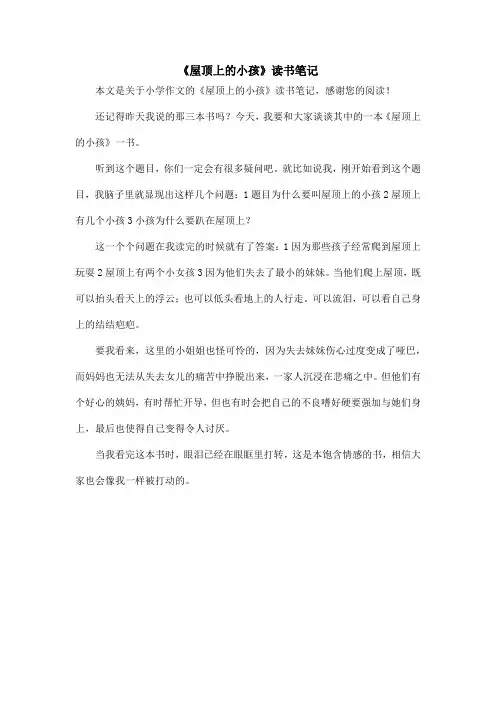 《屋顶上的小孩》读书笔记_小学作文