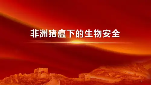 非洲猪瘟下的生物安全ppt课件