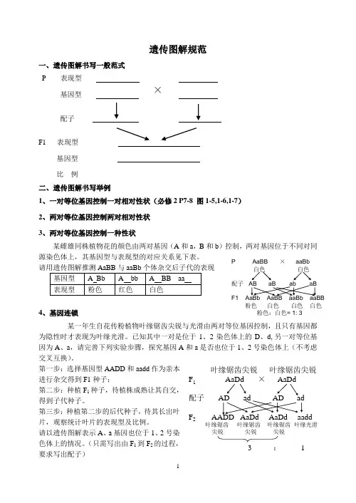 遗传图解规范