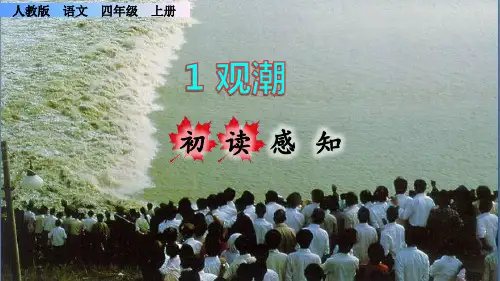 《观潮》课件PPT(完美版)四年级上册语文部编