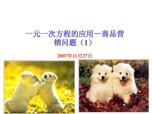 3.3一元一次方程的解--盈亏问题(3)