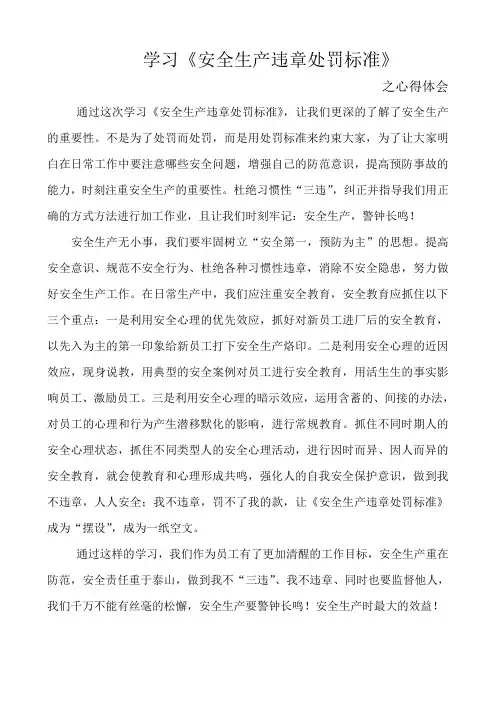 学习安全生产违章处罚标准之心得体会