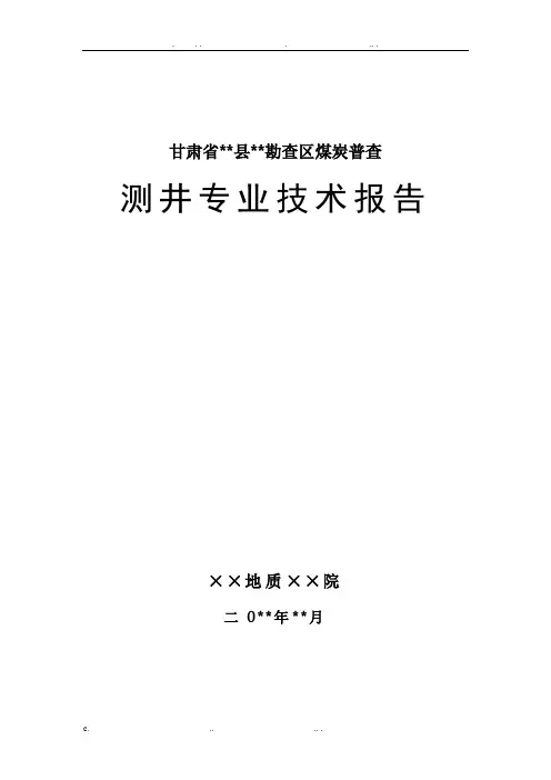 煤炭地质测井报告