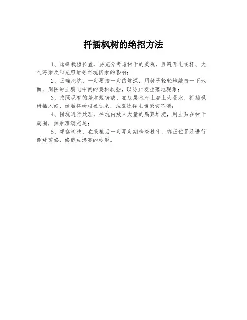 扦插枫树的绝招方法