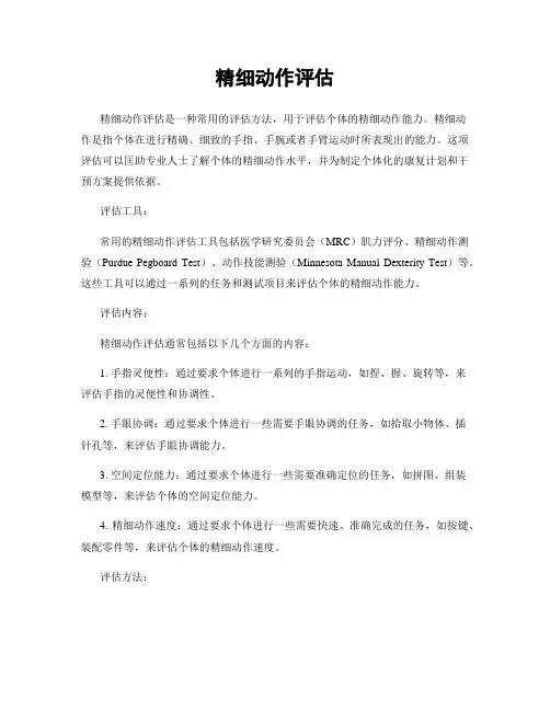 精细动作评估