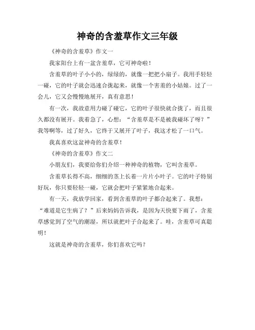 神奇的含羞草作文三年级