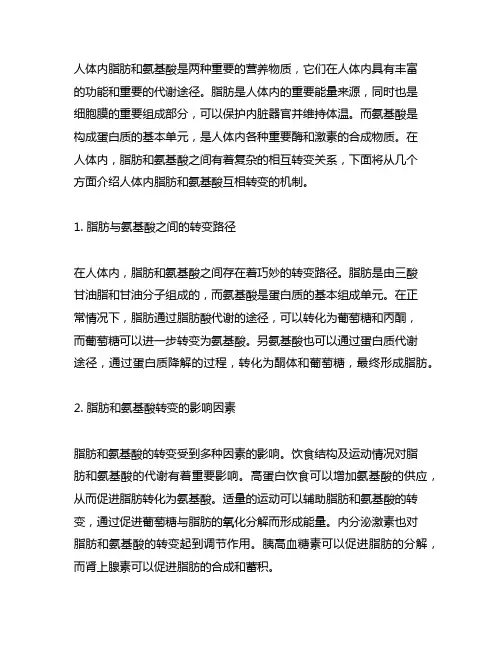 简述人体内脂肪和氨基酸互相转变的机制