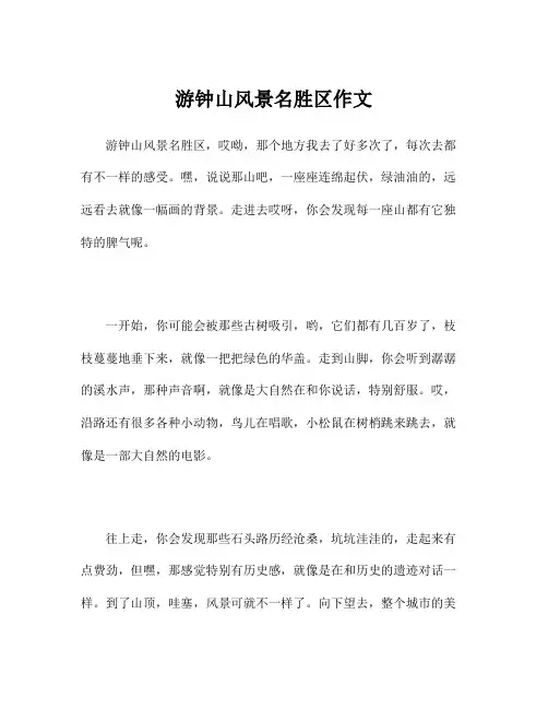 游钟山风景名胜区作文