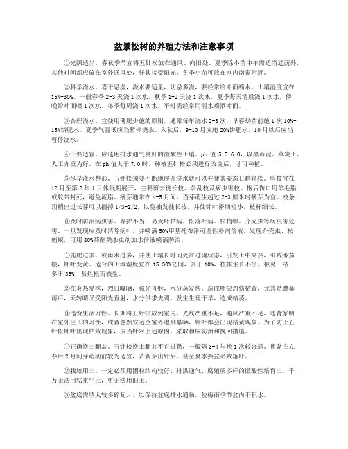 盆景松树的养殖方法和注意事项