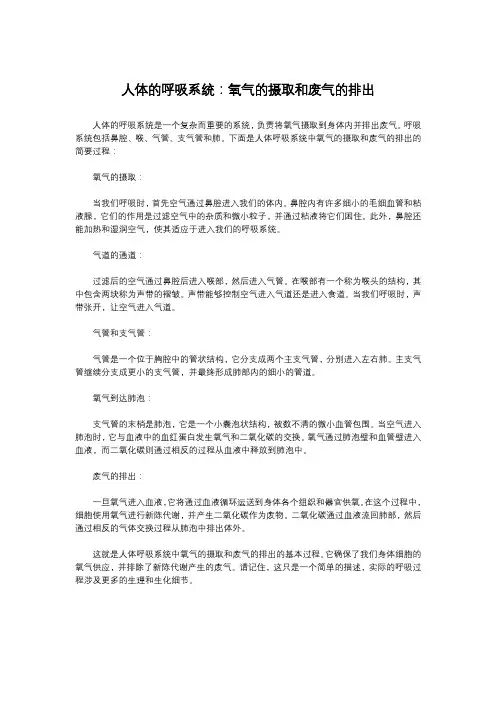 人体的呼吸系统：氧气的摄取和废气的排出