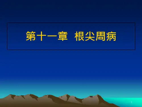 根尖周病ppt课件