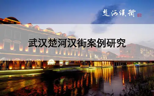 楚河汉街详细调研2014