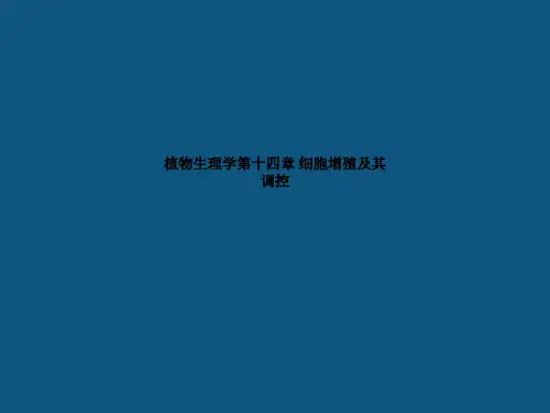 植物生理学第十四章 细胞增殖及其调控