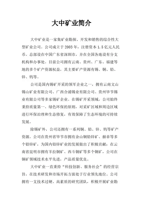 大中矿业简介