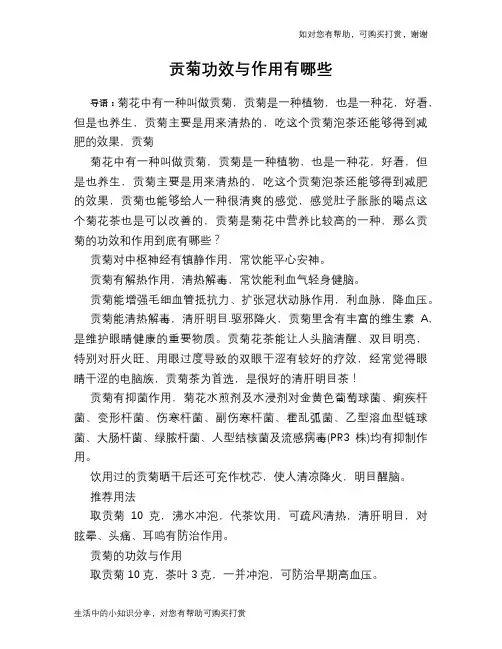 贡菊功效与作用有哪些