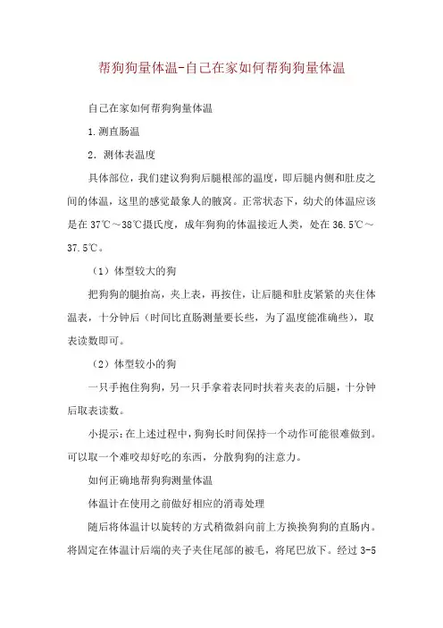 帮狗狗量体温-自己在家如何帮狗狗量体温