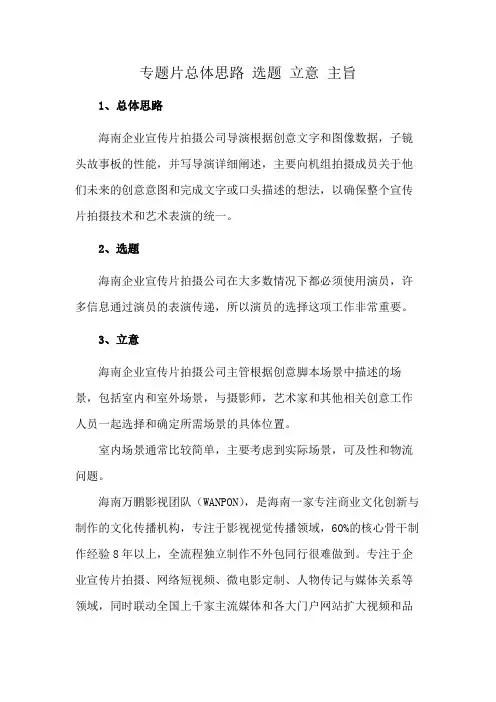 专题片总体思路 选题 立意 主旨