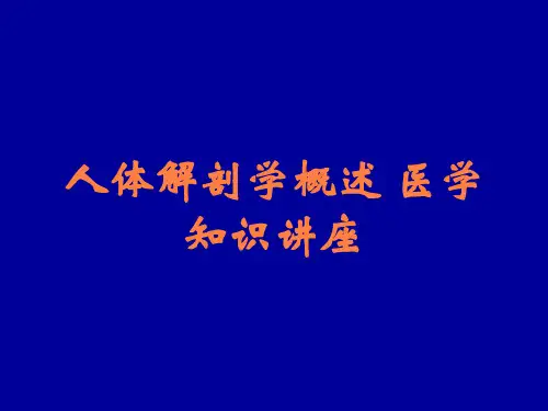 人体解剖学概述-医学知识讲座